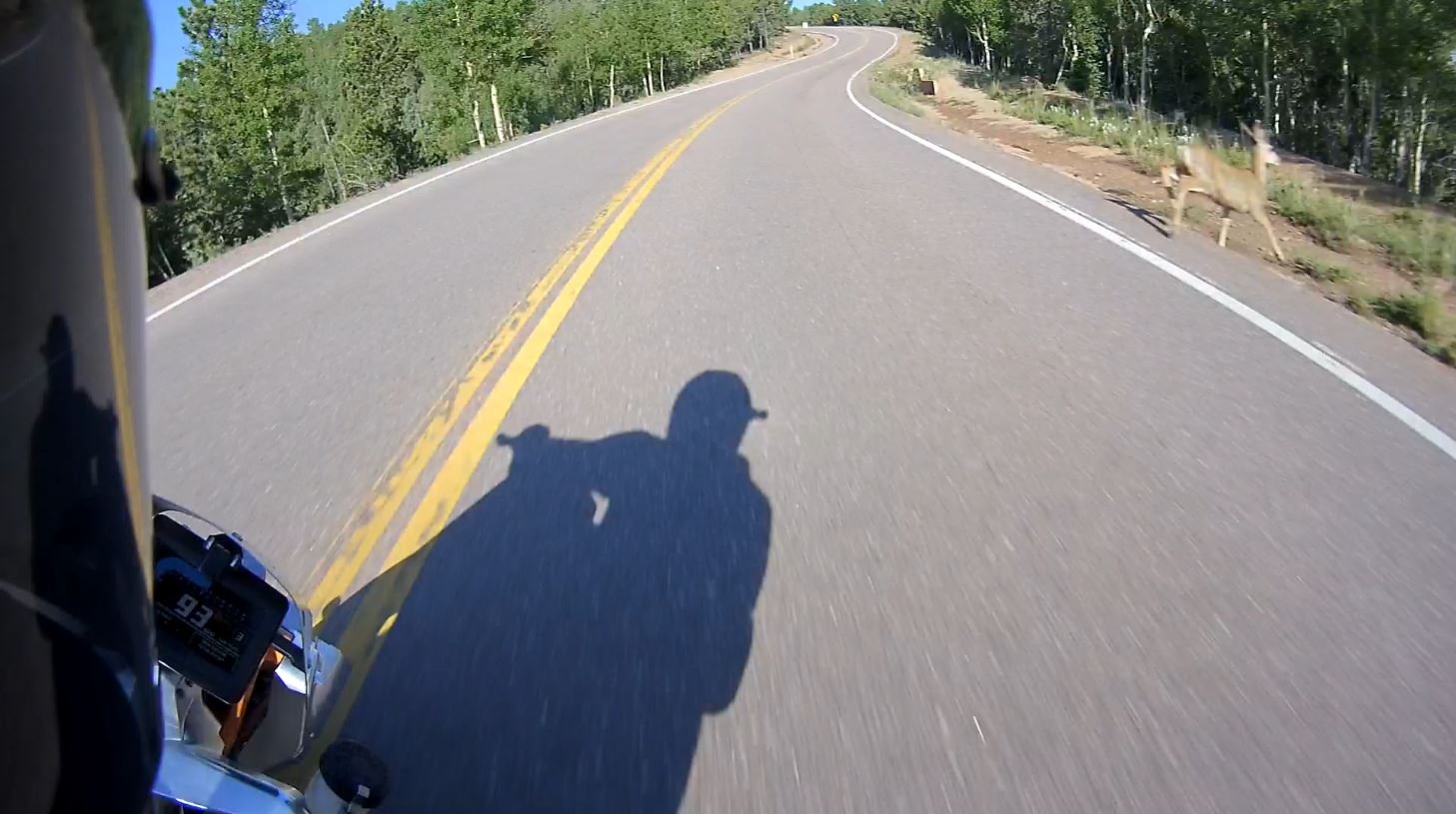 Pikes Peak 2015 — deer crossing